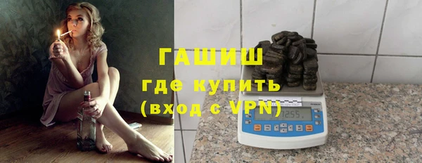 индика Алзамай