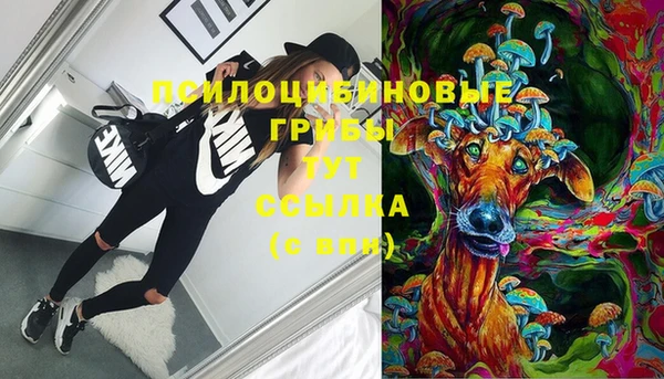 ECSTASY Аркадак